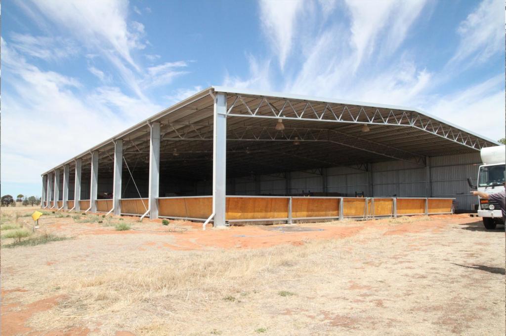 Indoor dressage arena