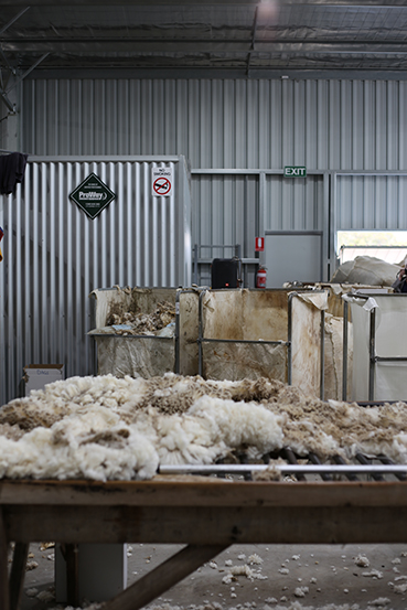 shearing shed interior wall table 