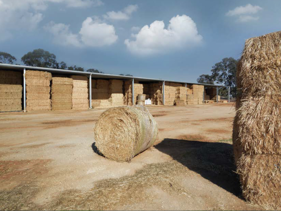 hay shed full of hay bales 