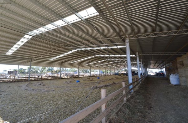 steel shed