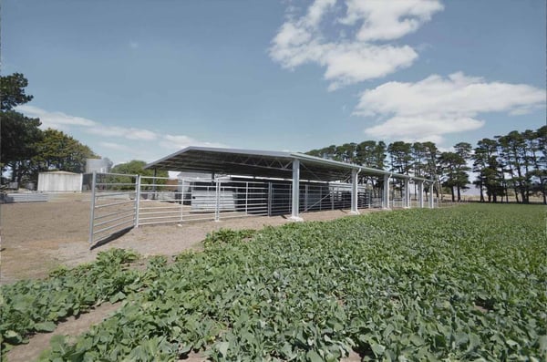 farm sheds