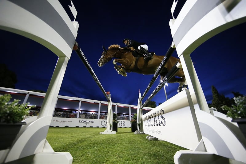 Horse jumping images