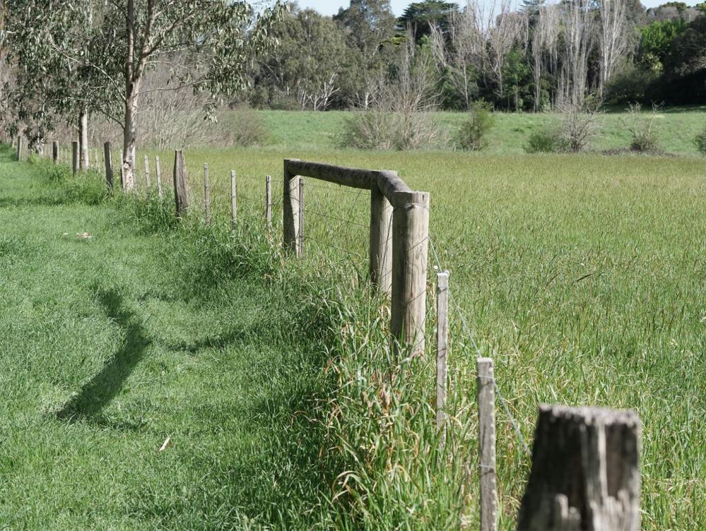 fencing