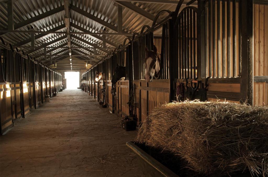 horses inside stables 