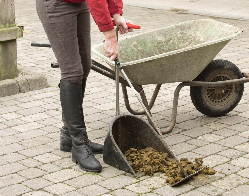 lady cleaning up horse manure 