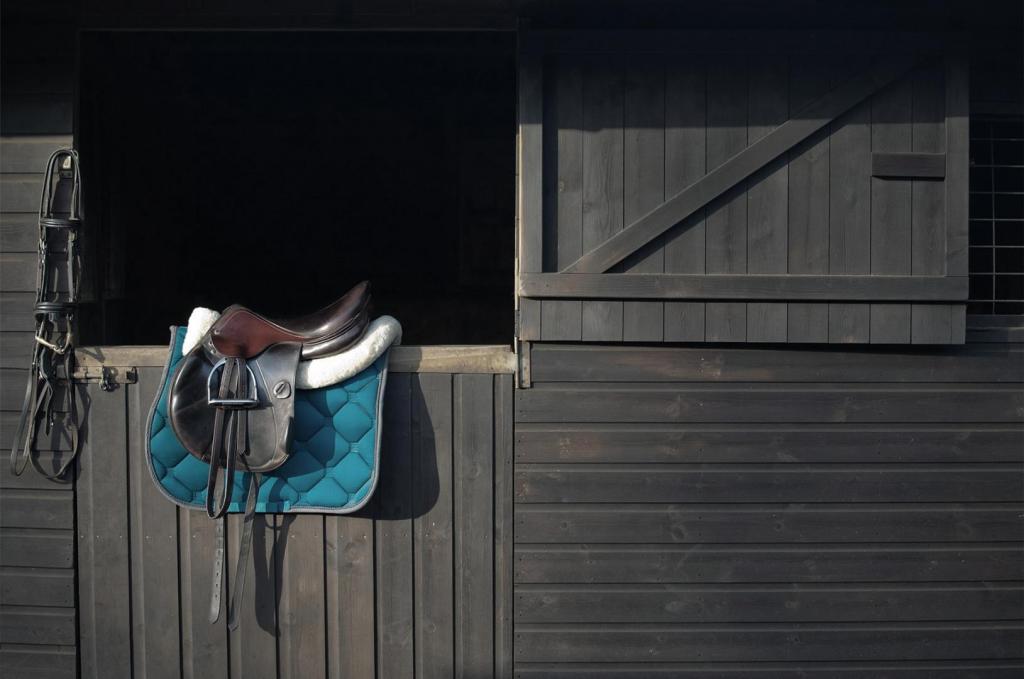 saddle resting on stable door 