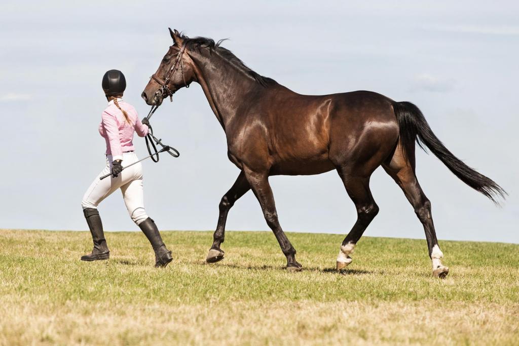 woman leading a horse 