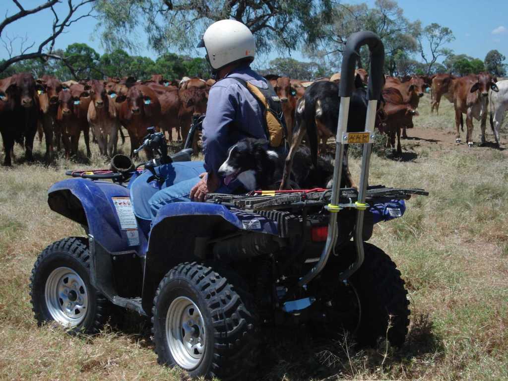 farmer with dog on quad bike 