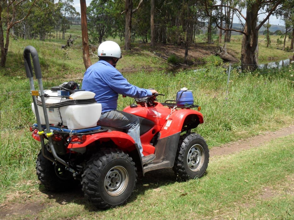 quad bike with roll bar 