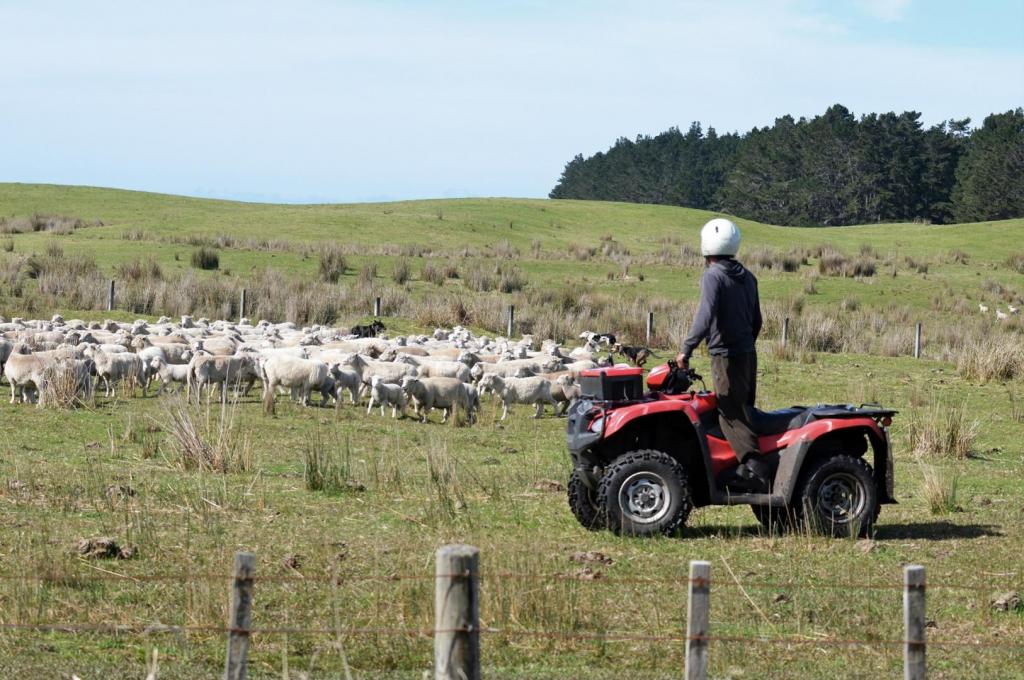 farmer on quad bike with helmet 