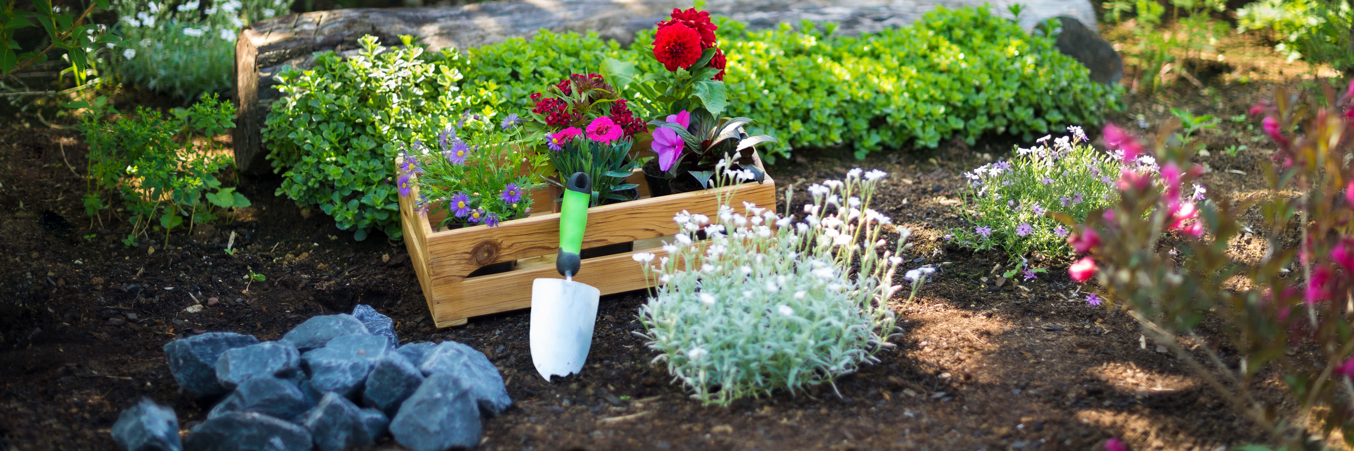 Custom shed house gardening
