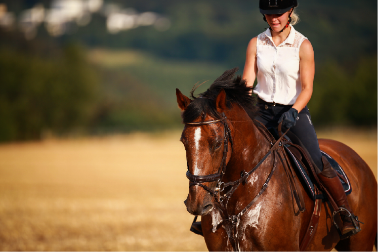 woman riding a horse