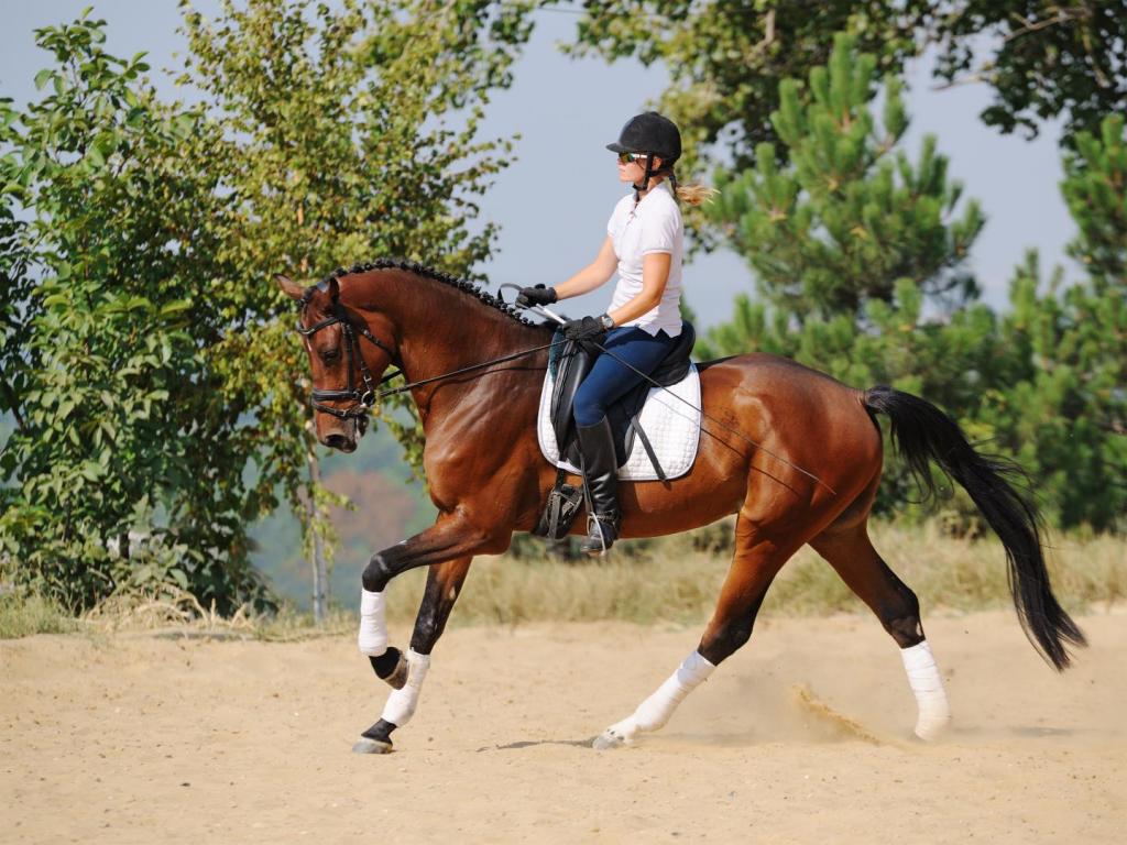 horse riding with tune