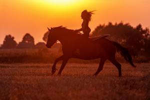 Horse riding