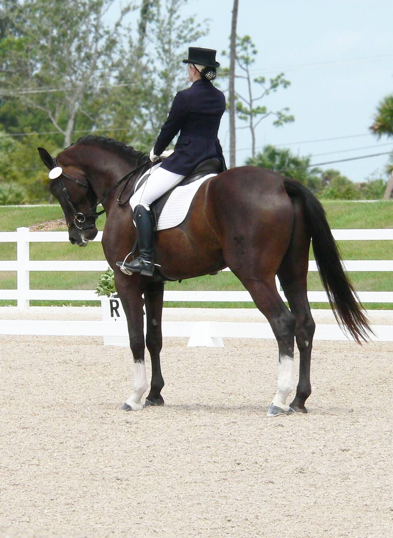 horse riding
