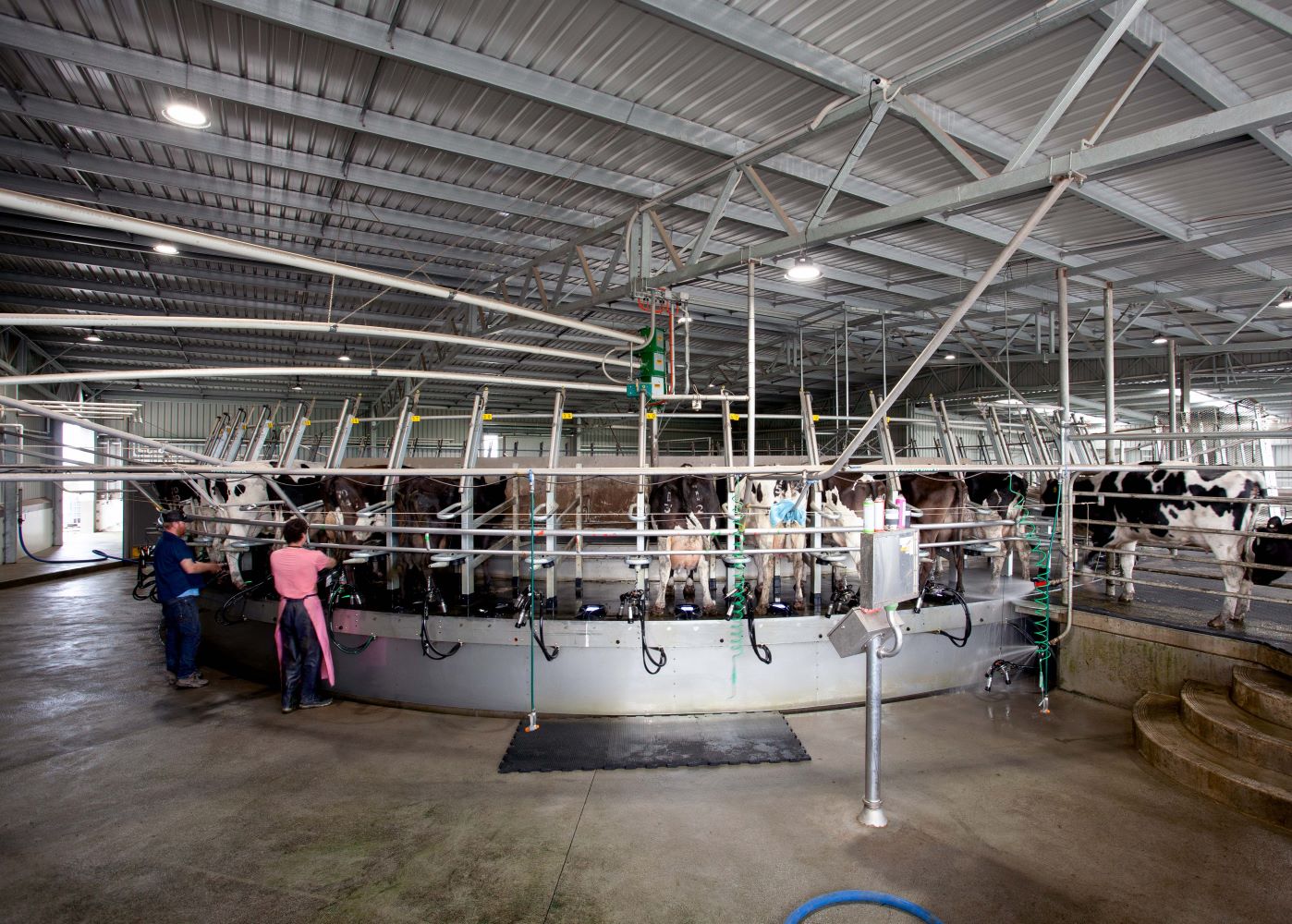 Inverloch rotary dairy building