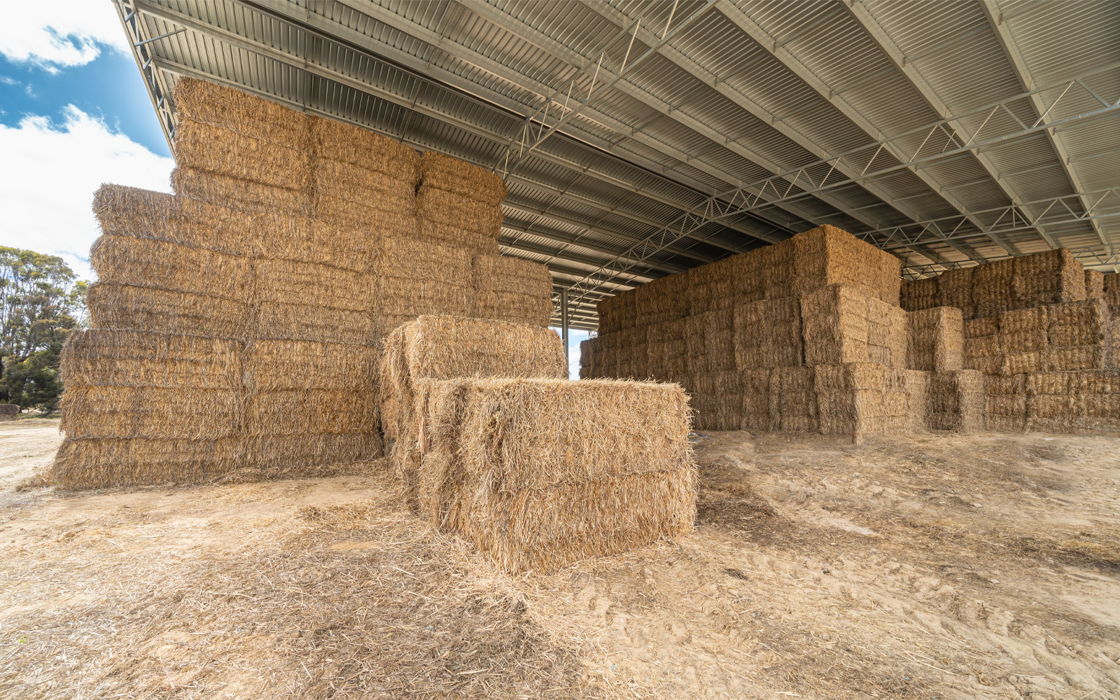 Bruce Ross barn shed 