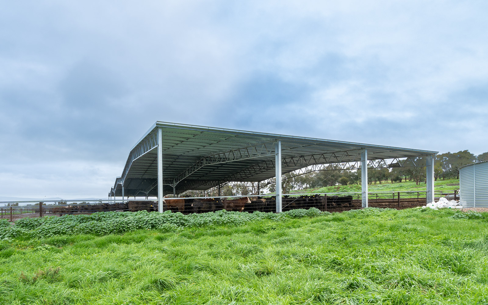 Agricultural farm shed cover