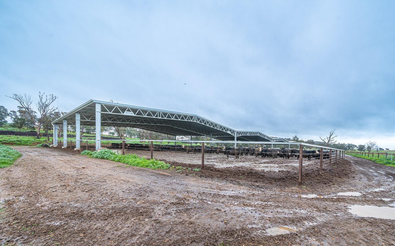 Agricultural feedlot