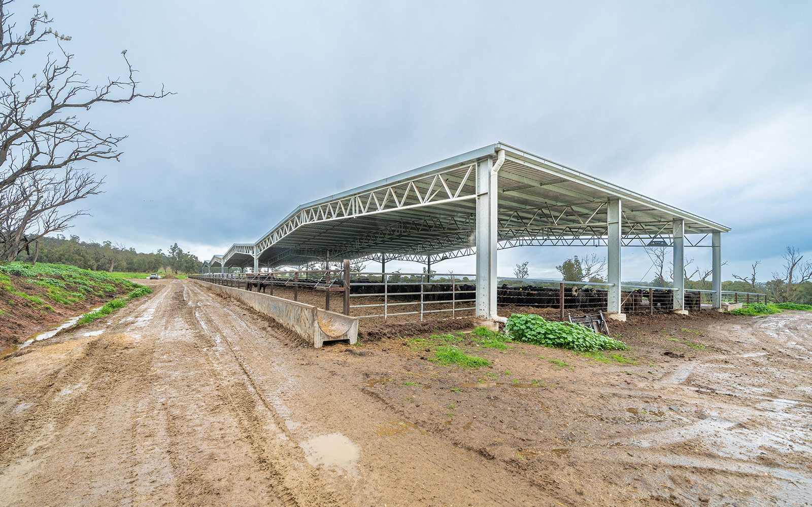 Agricultural shed cover
