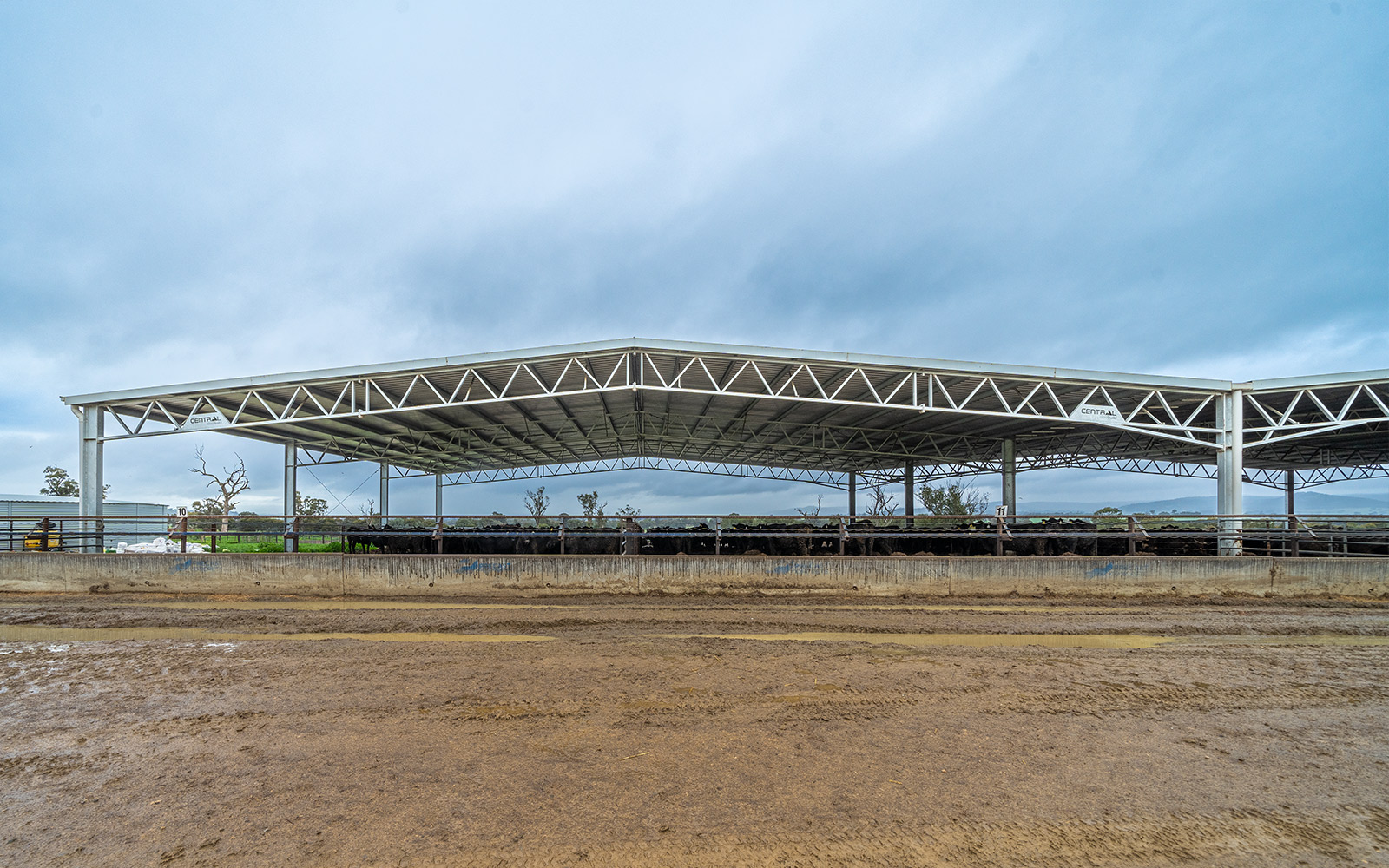 Agricultural feedlot shed