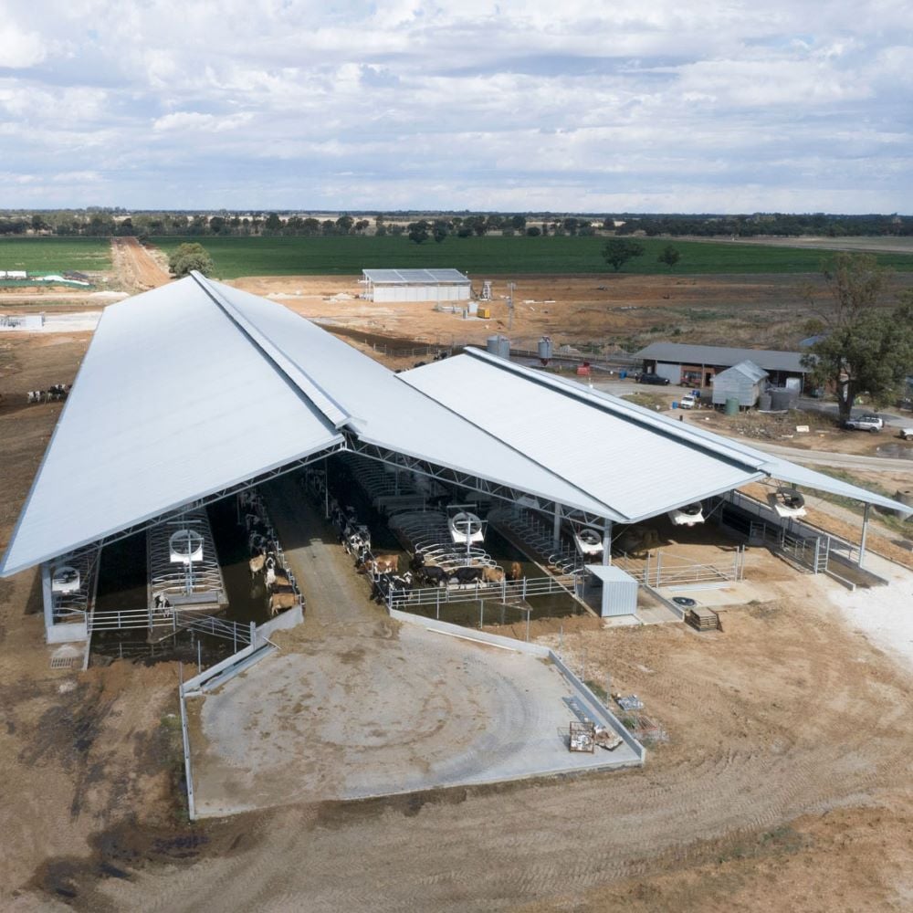 Agricultural dairy barn shed 
