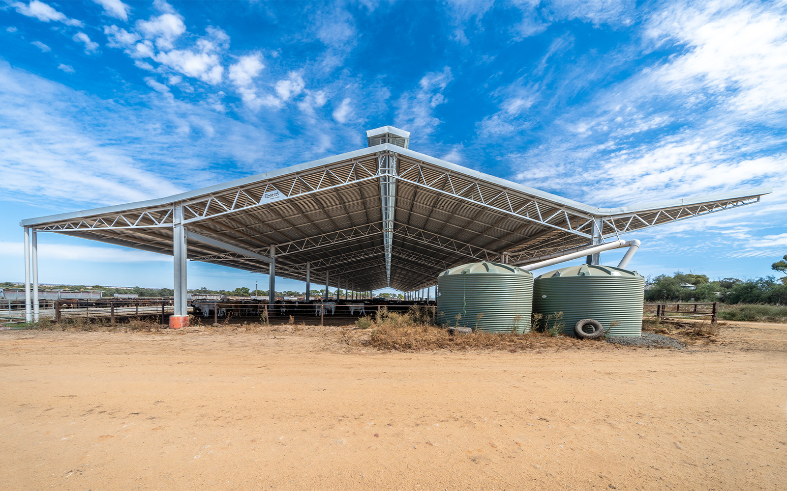 Darren Rethus feedlot