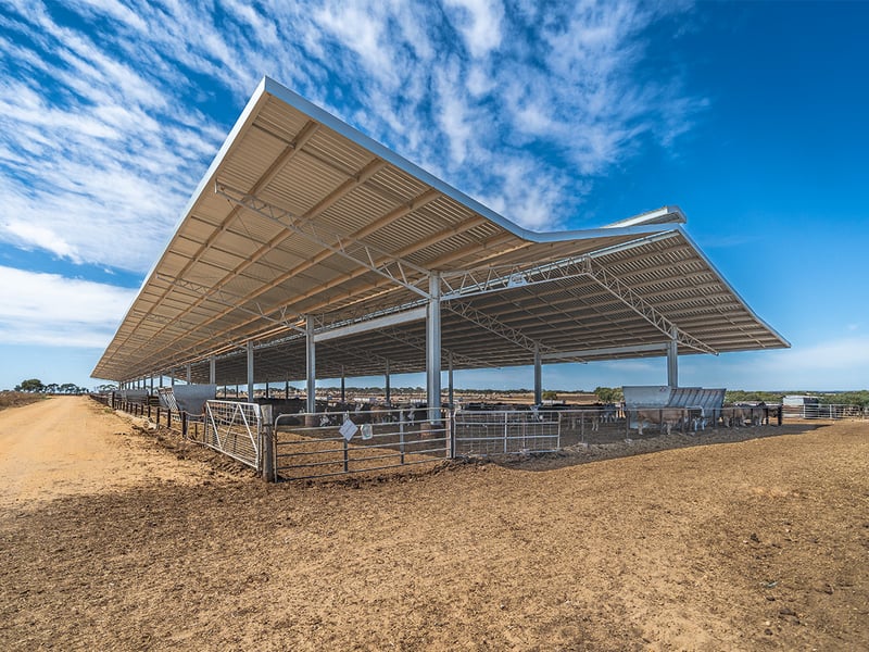 Darren Rethus feedlot 20_gallery