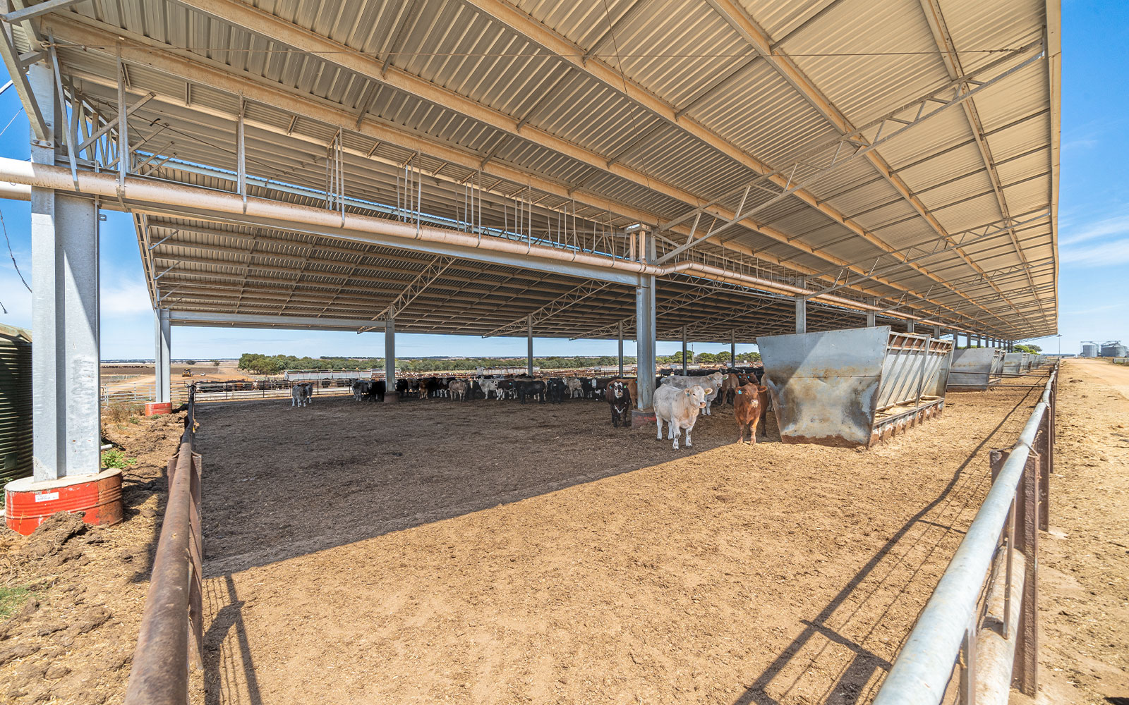 Darren Rethus feedlot 