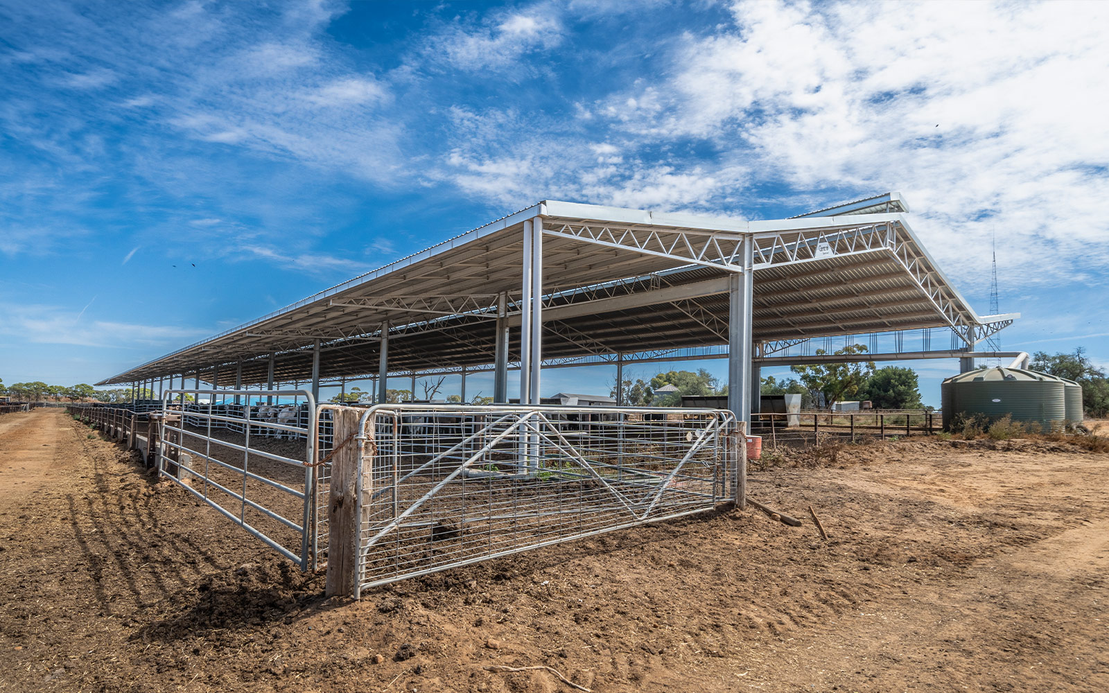 Darren Rethus feedlot shed for beef cattle