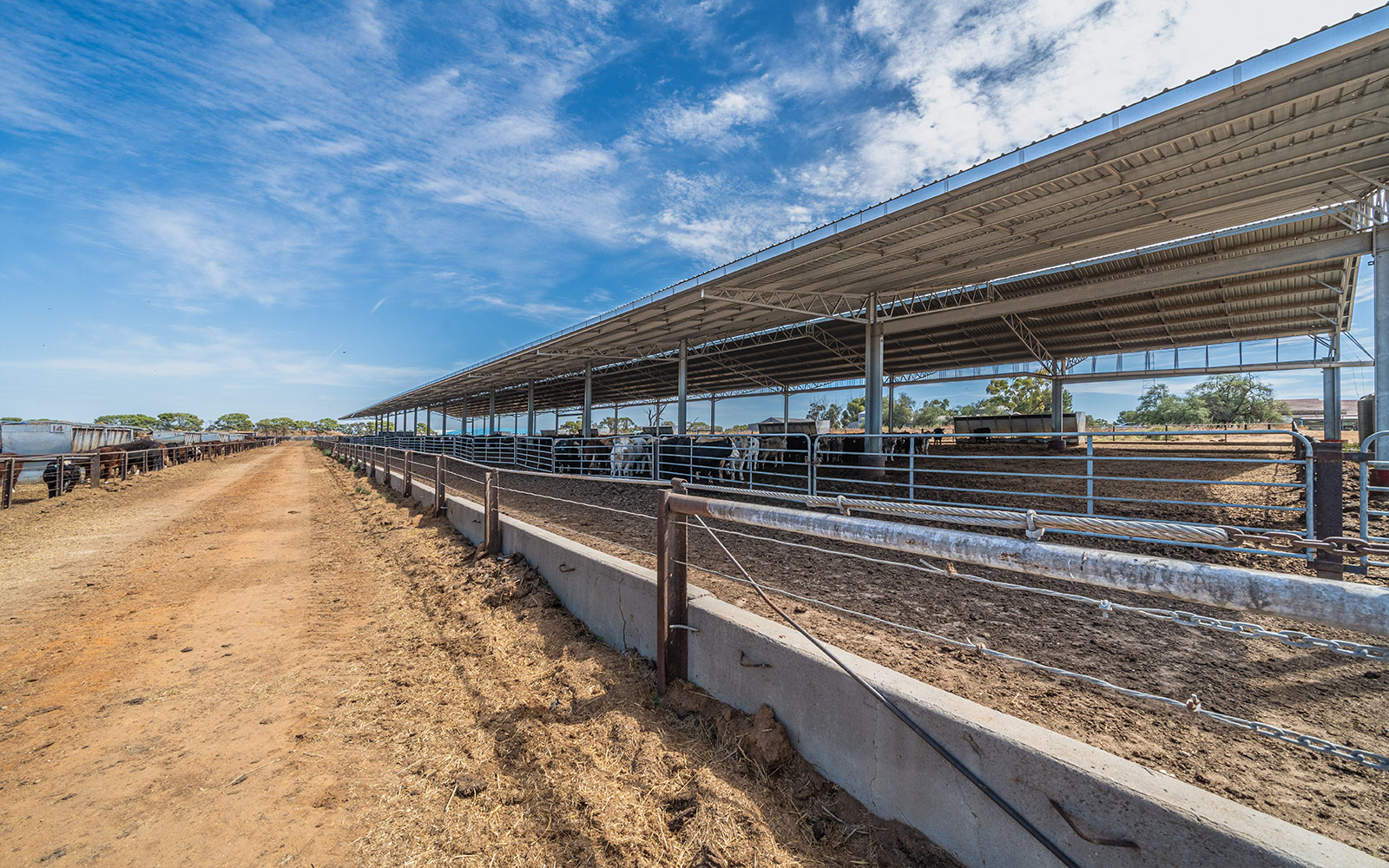 Darren Rethus beef cattle feedlot shed