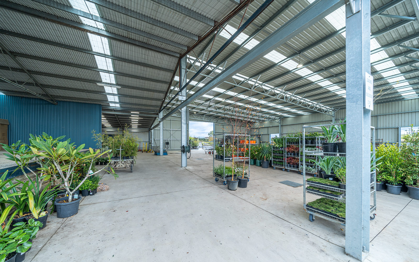 Dinsan Nursery agricultural shed