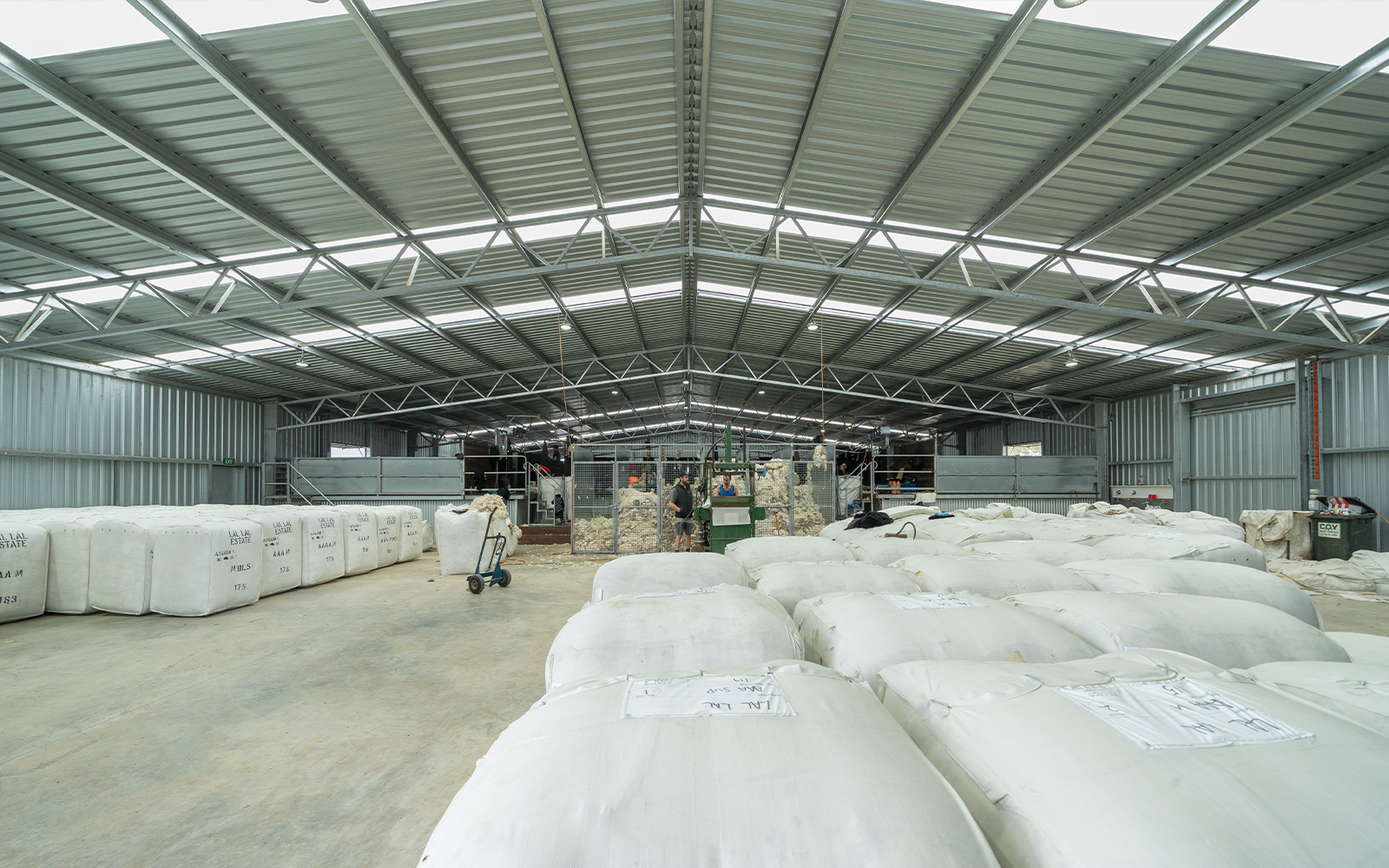 Egerton Farms shearing shed