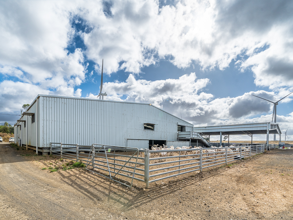 Egerton Farms shearing shed