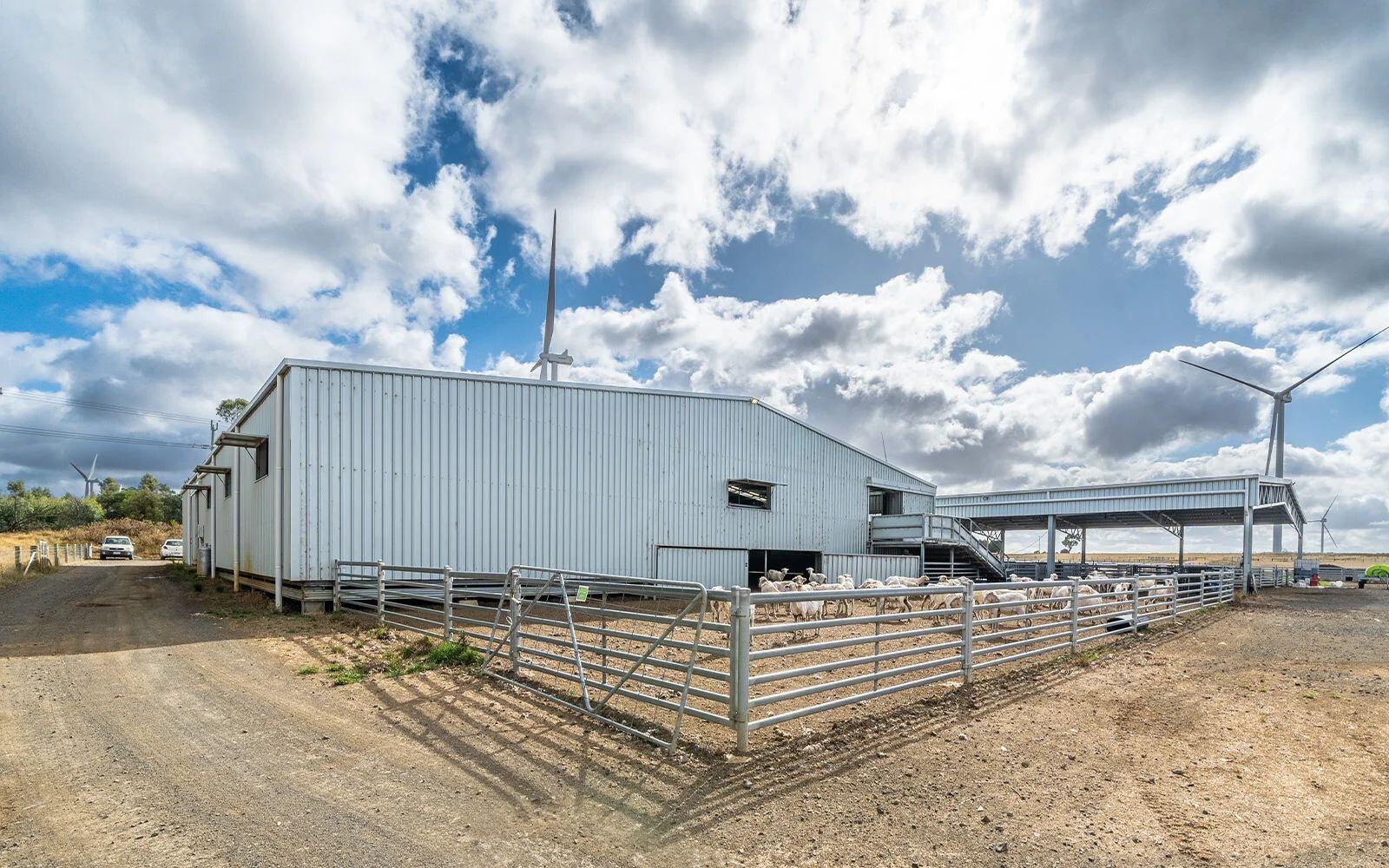 Egerton Farms shearing shed