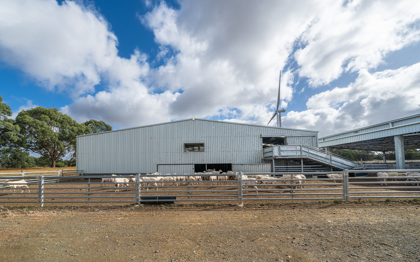 Egerton Farms shearing farm shed