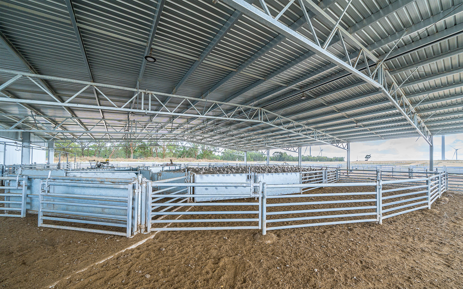 Egerton Farms shearing shed farm