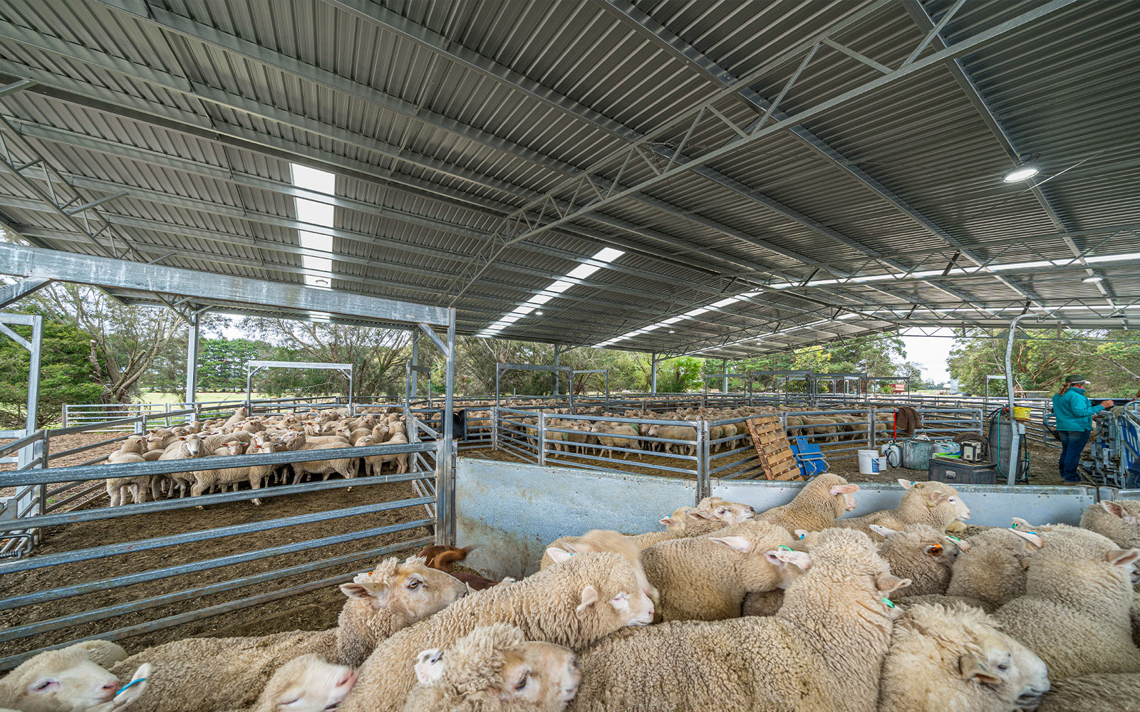 Agricultural sheep yard cover
