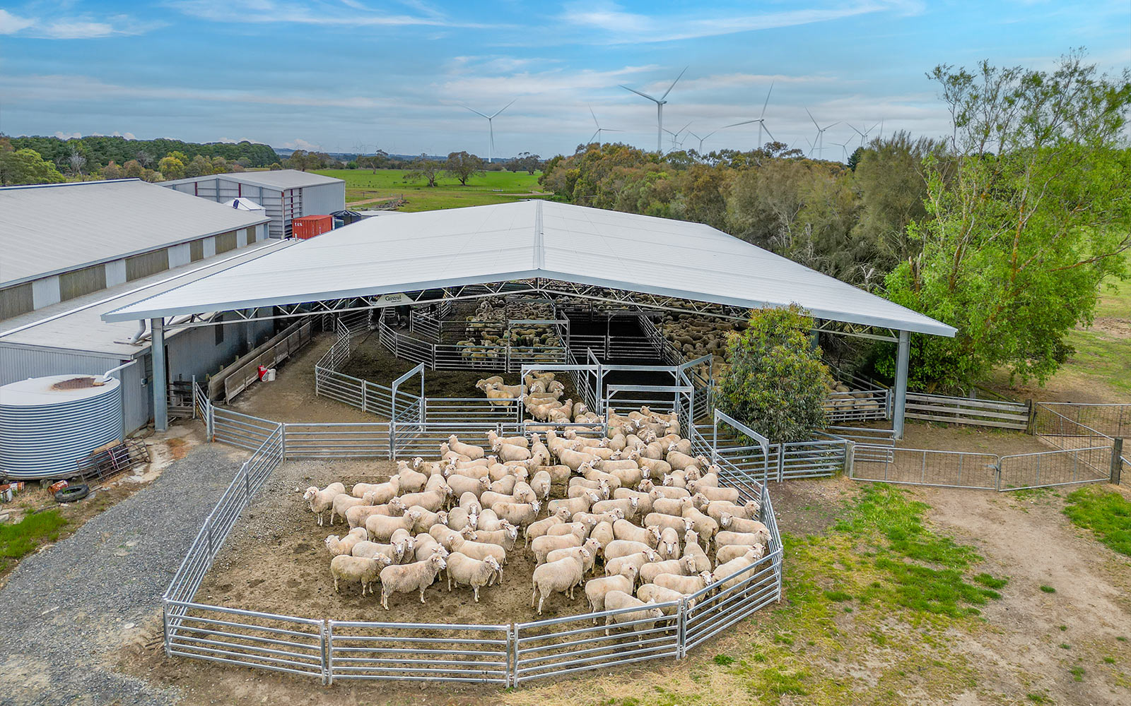 Agricultural sheep yard cover