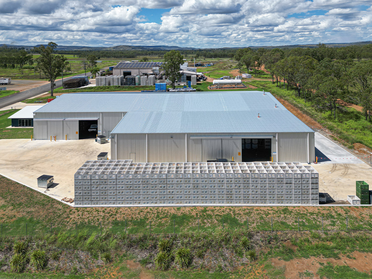 Ironbark Citrus packing shed