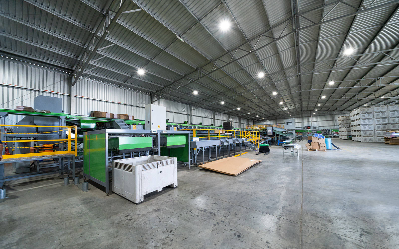 Ironbark Citrus packing shed space