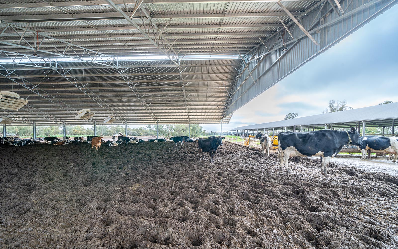 Kristen Clark agricultural shed