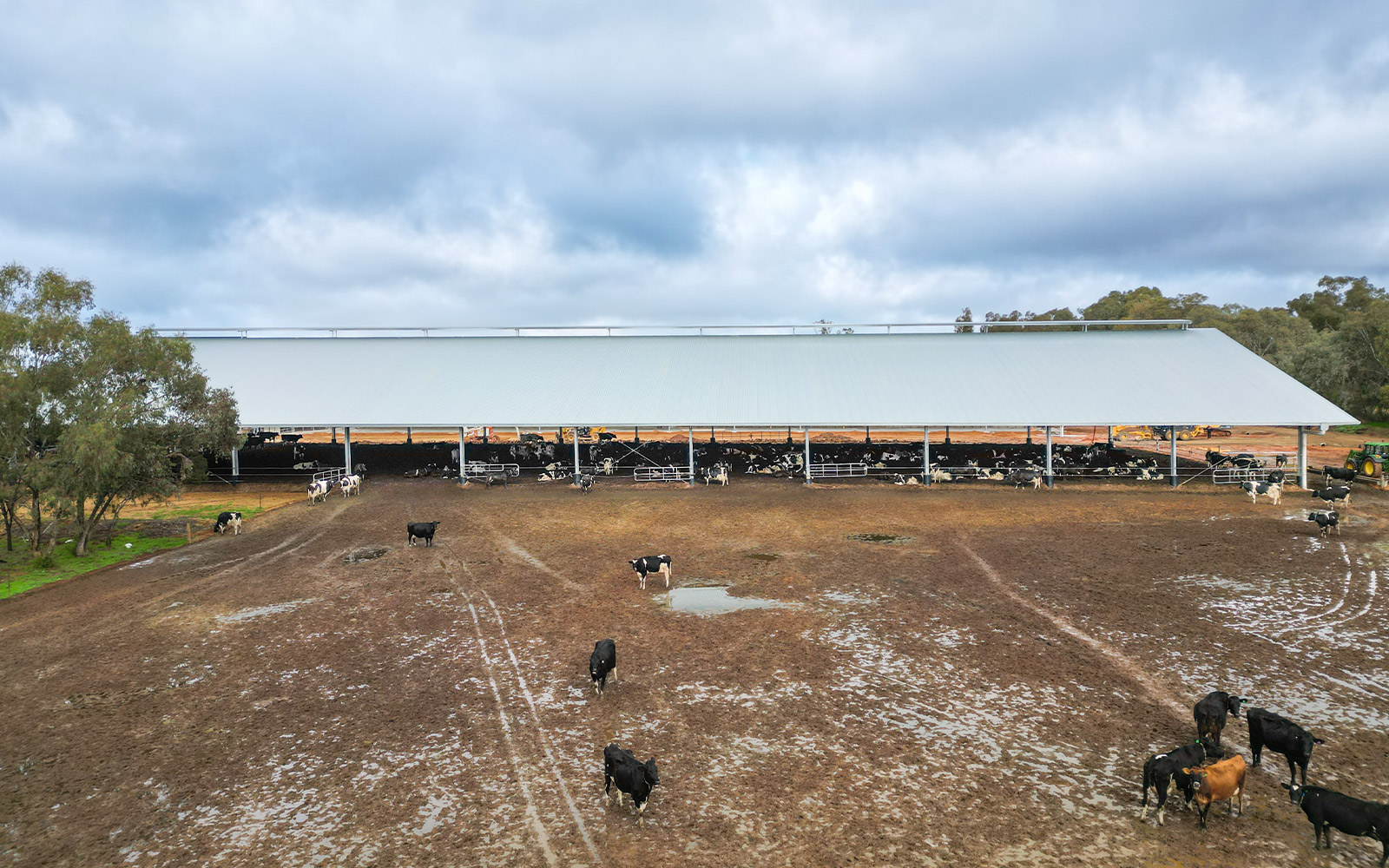 Kristen Clark dairy barn