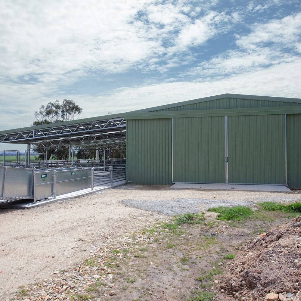 Shearing shed
