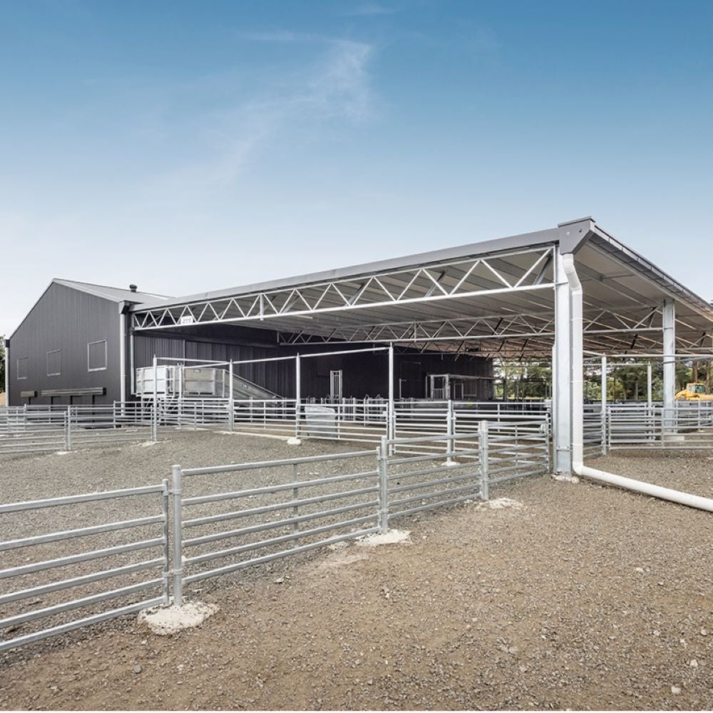 Shearing shed