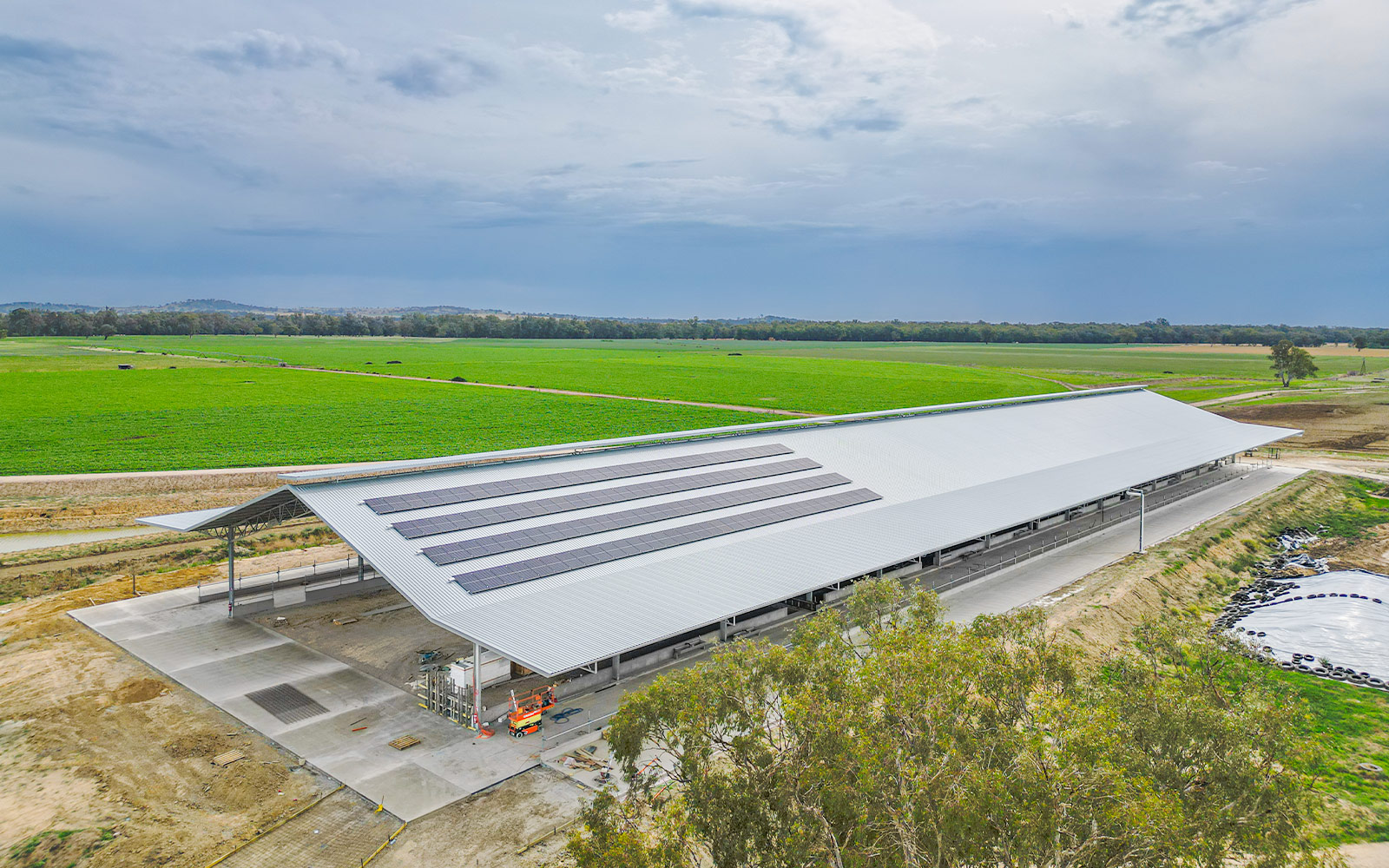 Simone Jolliffe dairy barn 