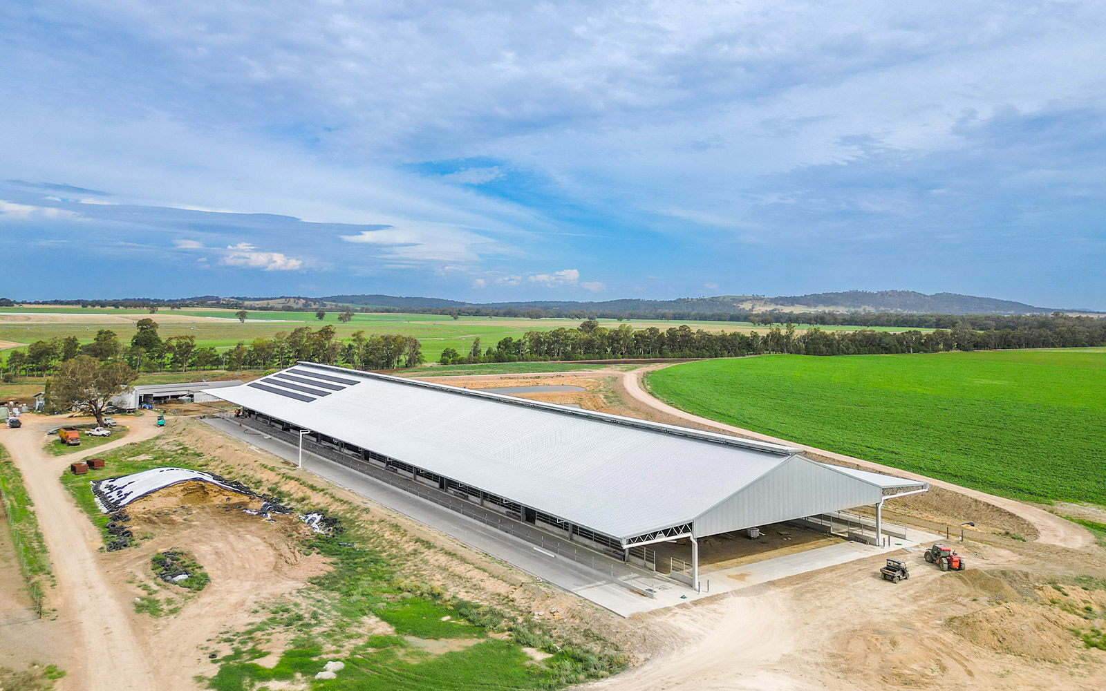 Simone Jolliffe dairy barn