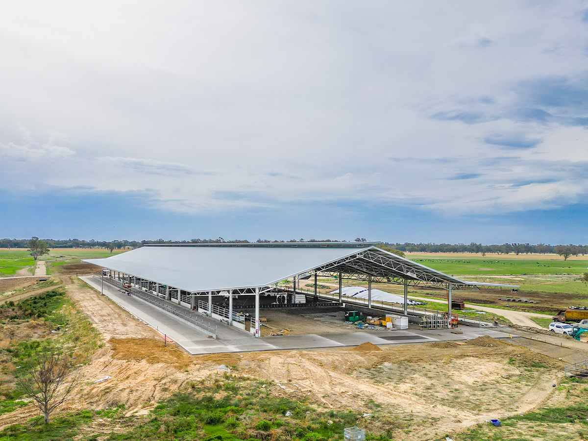 Simone Jolliffe dairy barn