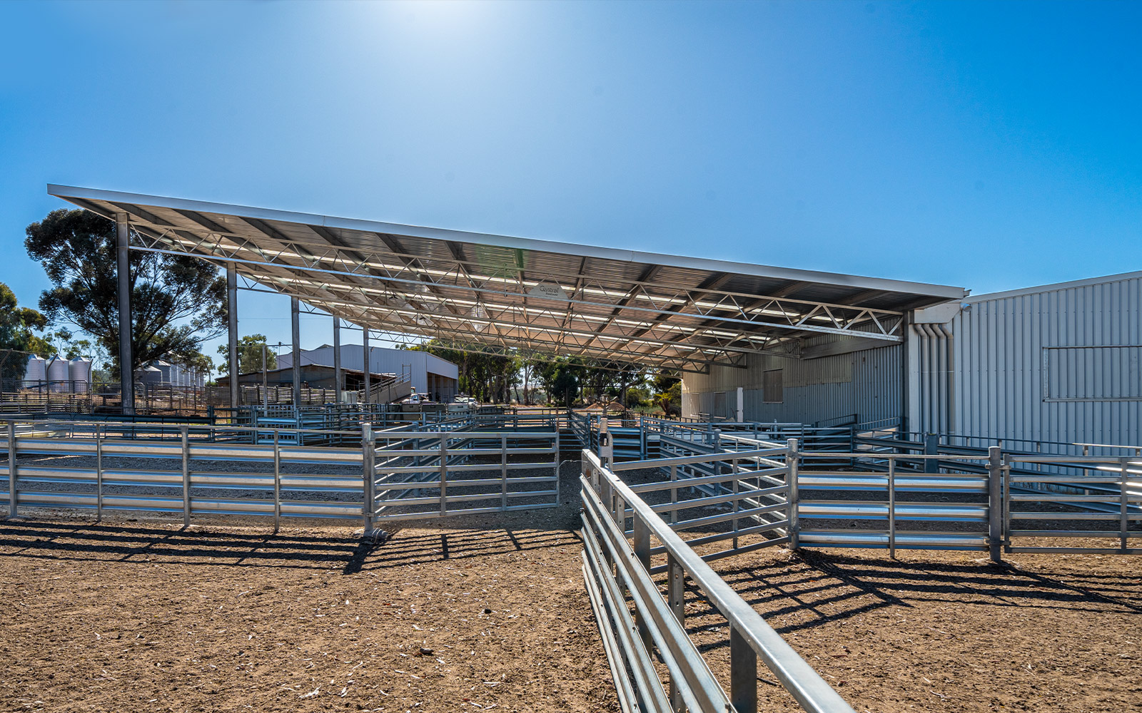 Tim Lockhart agricultural shearing shed