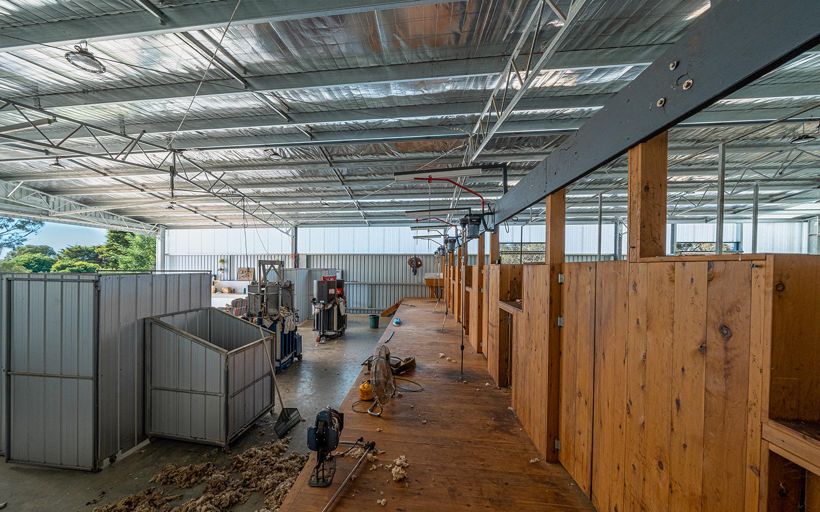 Tim Lockhart shearing shed